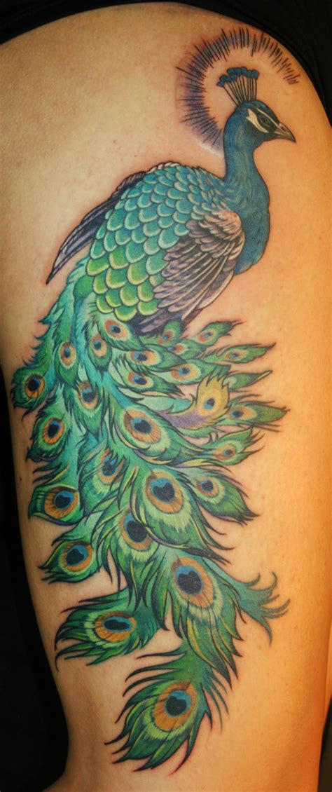 7 Spectacular Peacock Tattoos