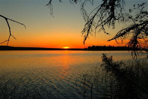 These stays are highly rated for location, cleanliness, and more. Great Blue Heron Provincial Park - Anglin Lake Trails ...