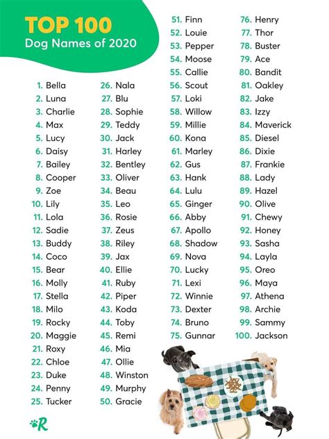 Top 100 Dog Names Of 2020 Dog Names Cute Names For Dogs Cute Animal