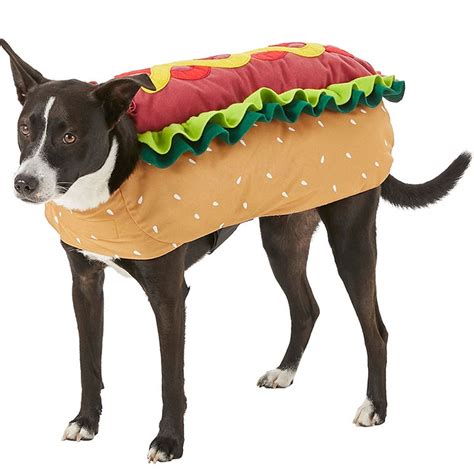 Best Large Dog Halloween Costumes Of 2021 Bechewy