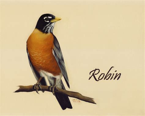 Robin Bird Oil Painting Realistic Artistic Realism Art Studio