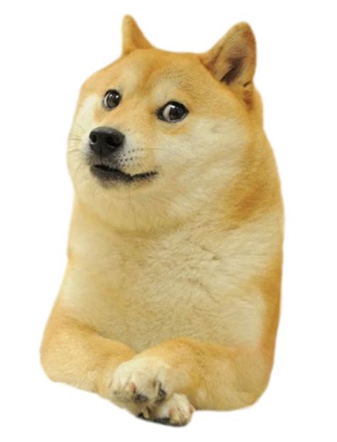 Doge Head Meme Transparent Background Png Play