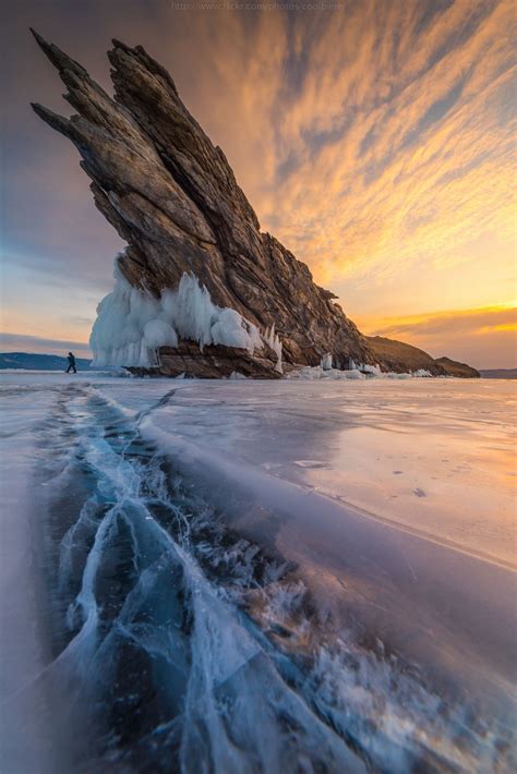 Monsters Fin Lake Baikal Russia Nature Photography