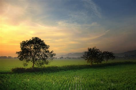 Tidak Perlu Tempat Yang Jauh Untuk Foto Landscape Yang Wow Wira