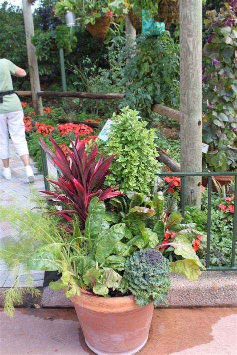 Check spelling or type a new query. Garden In A Pot | Garden containers, Flower pot garden ...