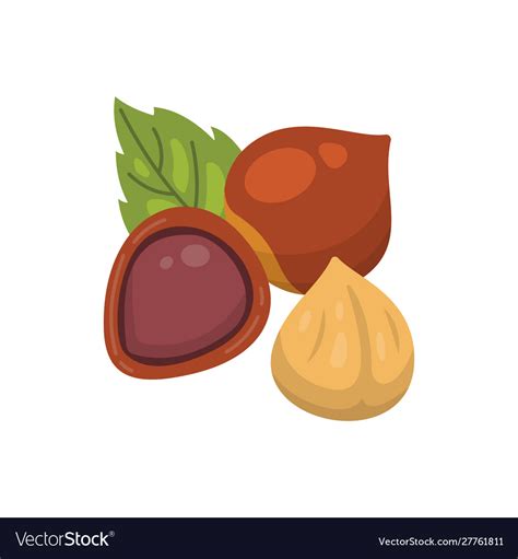 Hazelnut Icon Nuts In Cartoon Style Hazel Vector Image