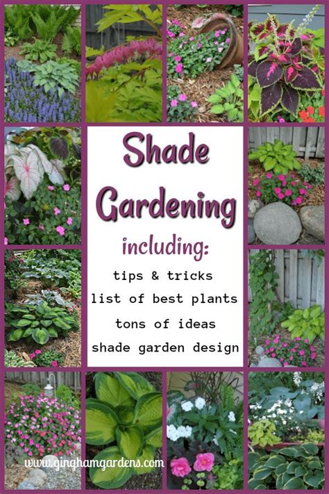Made In The Shade Gardens Beautiful Ideas For Your Shade Garden