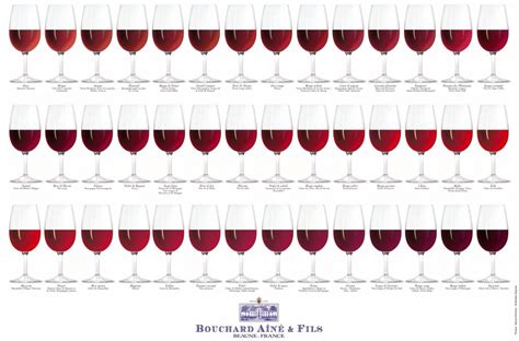 Wine Color Complete Visual Guide Social Vignerons