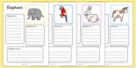 Animal Fact File Worksheets Primary Resource