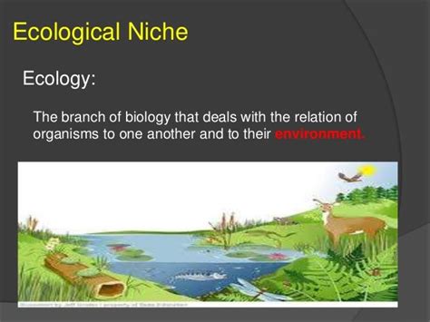 Ecological Niche Details