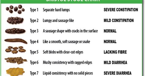 What Your Poop Color And Looks Says About Your Health You Should Know