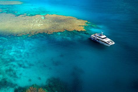 Outer Reef Introductory Diving Day Trip From Cairns Divers Den