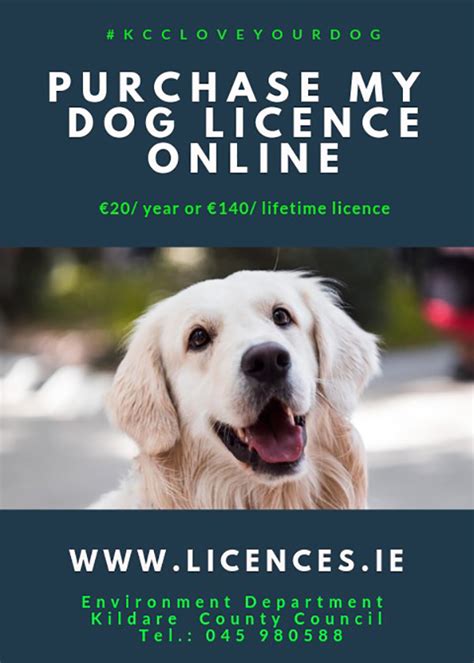 Dog Licence Reminder From Kildare Dog Wardens