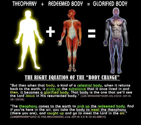 Glorified Body Redeemed Body Theophany Body Body Spirituality