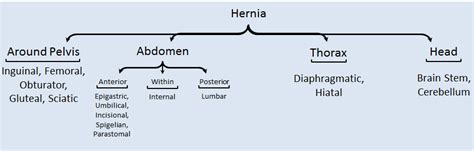 Hernia The Others Epomedicine