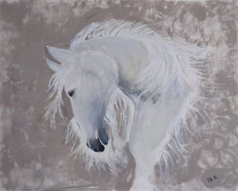 Beautiful White Horse Paintings