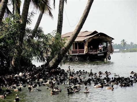 23 Best Things To Do In Alleppey On Your Vacation In 2023