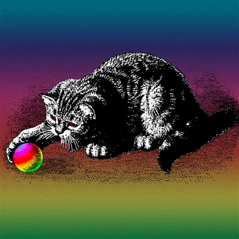 Cat And Ball  By Retrocollage Find And Share On Giphy