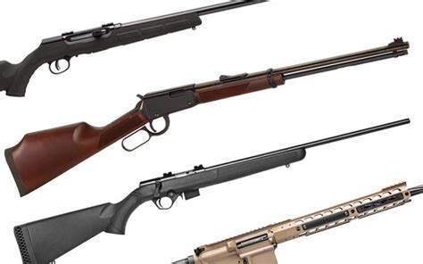 5 Best 17 Hmr Rifle Options 2024 Gun Digest