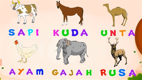Belajar Abc Belajar Huruf Dengan Nama Hewan Abjad Bahasa Indonesia
