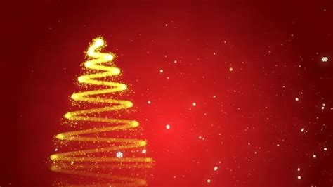 Christmas Tree Stock Motion Graphics Motion Array
