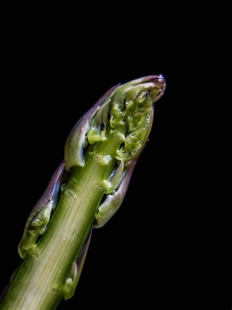 Close Up And Macro Food Photography Ideas You Should Try