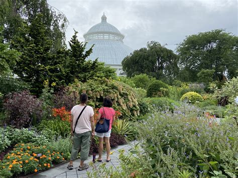 a garden treasure in the bronx side of culture