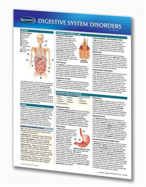 Digestive System Disorders Medical Quick Reference Guide Artofit