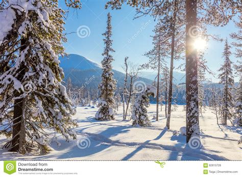 Amazing Winter Sunny Landscape Wallpaper Stock Photo