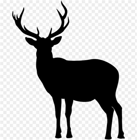 Deer Silhouette Png Siluett Re Png Image With Transparent Background
