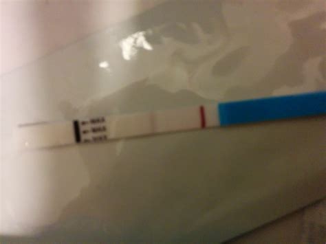 Nitsch stand bei mutmaßlichem selbstmord nicht unter drogen. Schwangerschaftsstest negativ oder positiv? :-O (Bild ...