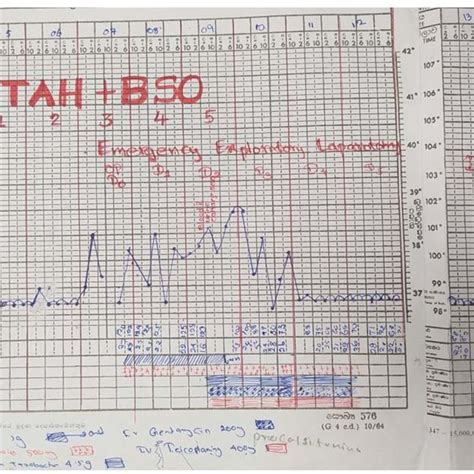 Temperature Monitoring Chart Download Scientific Diagram