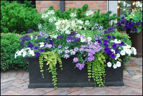 867 Best Images About Flowers Gardens Containers