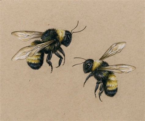 Pin By Fran Chatelier On Tats Bee Drawing Bee Art Bee Tattoo