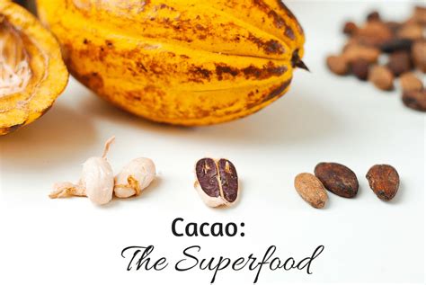Cacao The Superfood Wild Heart Food