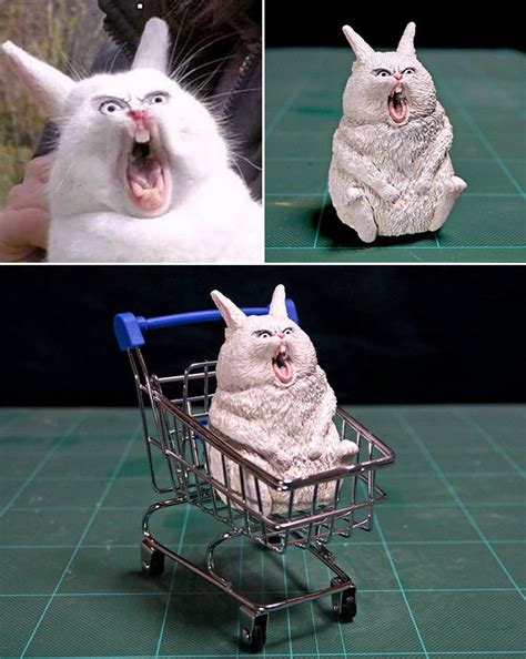 Pin on Funny