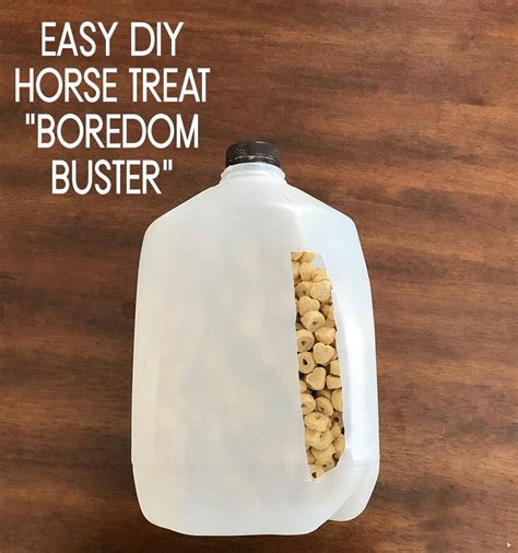 Easy Diy Horse Treat Toy Boredom Buster For Your Horse Treats Horse