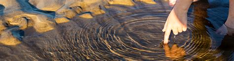 The Science Behind The Ripples In A Pond