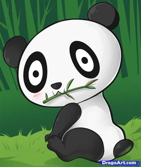 How To Draw An Easy Panda Step By Step Rainforest