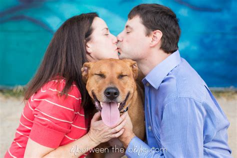 5 Reasons To Adopt A Shelter Pet Tara Lynn And Co Photo