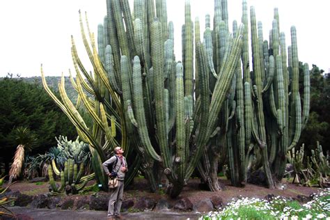 We did not find results for: botanischer garten eintritt - maaaadame