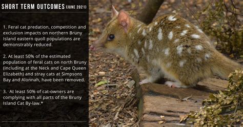 Cat Management Actions For Eastern Quolls On Bruny Island Nrm South