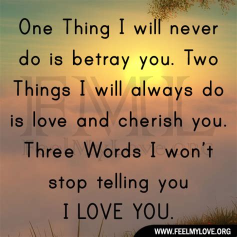 I Will Never Stop Loving You Quotes Quotesgram