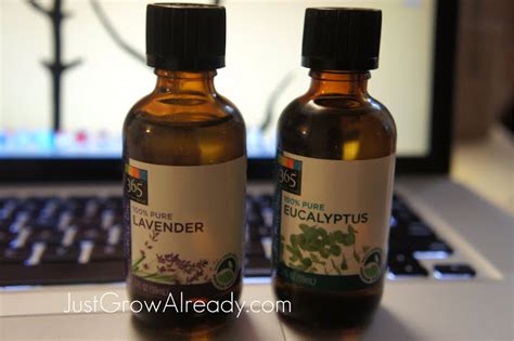 Four simple ways to use eucalyptus oil for hair growth. Battling My Itchy Scalp with Lavender and Eucalyptus Oil ...