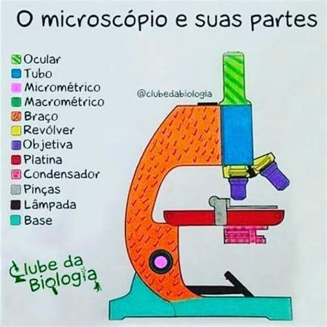 Partes Del Microscopio Mapa Mental Images