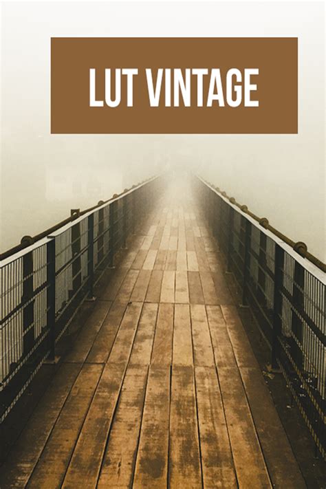 Free effects and add ons after effects template direct download all free. Interact Vintage - Preset Adobe Premiere Pro Video Asset ...