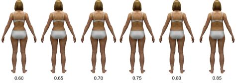 Examples Of Stimuli Silhouettes Color Version Of Average Weight Woman