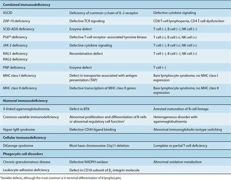 Disorders Of The Immune System Pathophysiology Of Disease An
