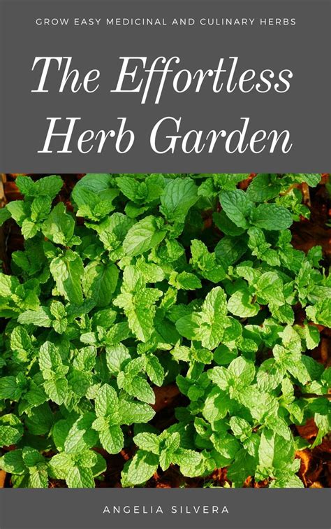 The Easiest Herb Garden Herbs Herb Garden Culinary Herbs