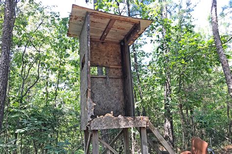 Top 50 Of How To Build An Elevated Deer Blind Loans Till Payday Now